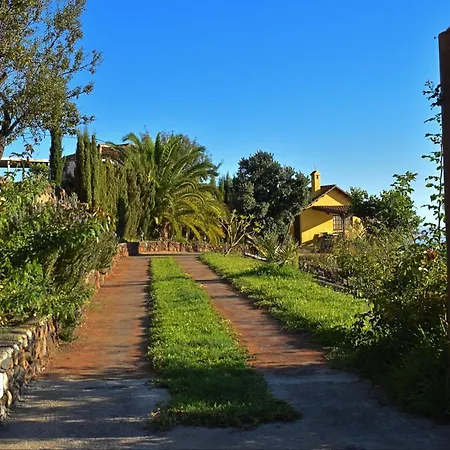 Flores By Rural La Palma *